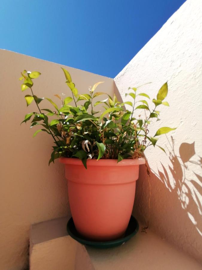 Apartamento Penha T3 Фаро Екстериор снимка